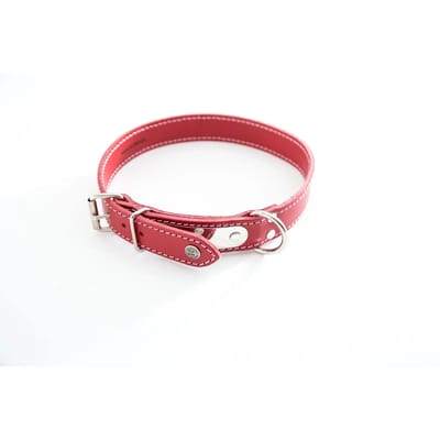 Dogen halsband met stiksels en naamplaatje Martin Sellier