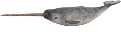 COLLECTA Figurine - Tandwalvis - (Xl) - Zeedieren - Handgeschilderd - Miniatuur