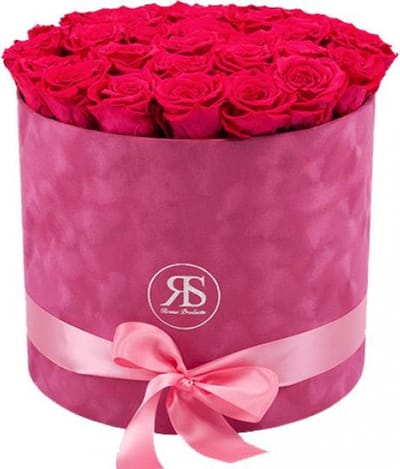 Flowerbox Longlife Suzy donker roze