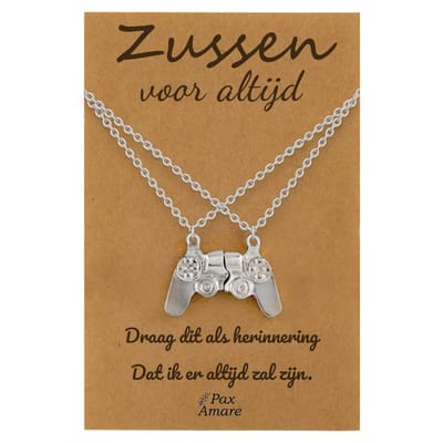 BFF Ketting voor 2 'Zussen voor altijd' - Controller - Vriendschapsketting op Cadeau Kaartje - 45cm + 5cm verstelbaar - Zilverkleurig - Sisters Hanger - Pax Amare