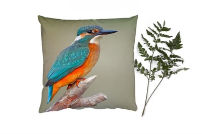 Sierkussens - Kussentjes Woonkamer - 40x40 cm - Vogel - IJsvogel - Tak