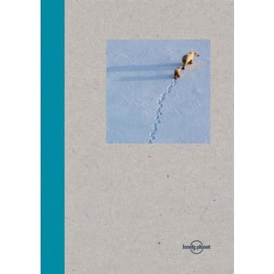 Lonely Planet Small Notebook - Polar Bear - lonely planet
