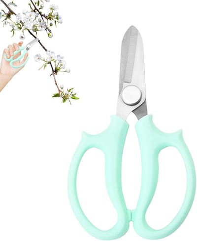 Bloemen Snoeischaar - Tuin Handschaar - Planten Sorteren - Roestbestendig Roestvrij Staal - 167 x 97 cm - Groen