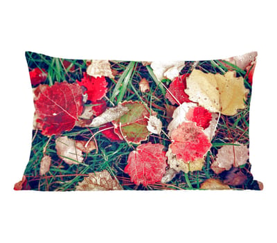 Sierkussens - Kussentjes Woonkamer - 50x30 cm - Bladeren - November - Herfst - Natuur