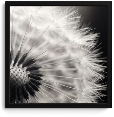 Poster in lijst - Fotolijst 40x40 cm - Posters - Paardenbloem - Zwart - Wit - Posterlijst zwart - Decoratie - Wanddecoratie woonkamer - Muurdecoratie slaapkamer