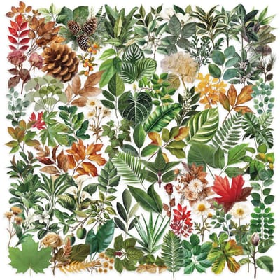 100 Pièces Autocollants Colorés de Feuilles de Plantes - Décor Transparent pour Journaux, Coques de Téléphone, Guitares, Sacs à Dos Magasin RecordingYourLife
