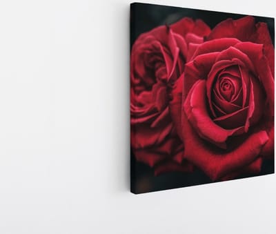 Saammp Canvas Schilderij - Abstracte Luxe Rode Rozen - Bloemen - Abstract - 20x20 - Foto op canvas - Wanddecoratie - Muurdecoratie Woonkamer - Kantoor Decoratie