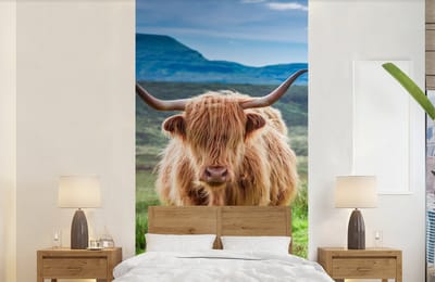 Behang - Fotobehang Schotse hooglander - Koe - Natuur - Berg - Gras - Breedte 120 cm x hoogte 240 cm