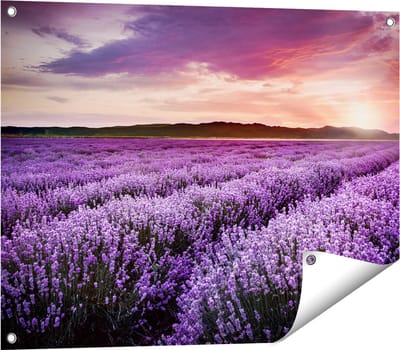 Gards Tuinposter Bloemenveld met Paarse Lavendel - Bloemen - 80x60 cm - Tuindoek - Tuindecoratie - Wanddecoratie buiten - Tuinschilderij