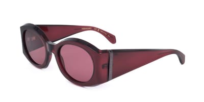 Ferragamo SF2008S Transparent burgundy 55/22/140 WOMAN Zonnebrillen
