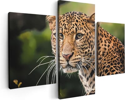 Artaza Canvas Schilderij Drieluik Luipaard Van Dichtbij - 90x60 - Foto Op Canvas - Canvas Print