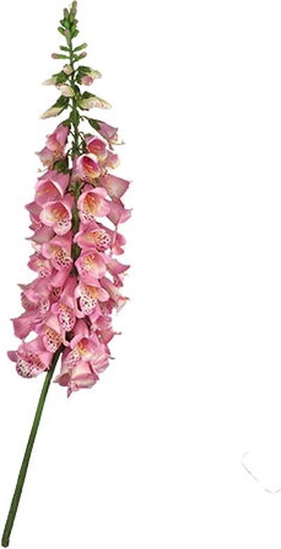 Vingerhoedskruid 127 cm Roze kunstplant Buitengewoon de Boet