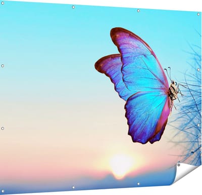 Gards Tuinposter Blauwe Vlinder bij Paardenbloemen - 150x120 cm - Tuindoek - Tuindecoratie - Wanddecoratie buiten - Tuinschilderij