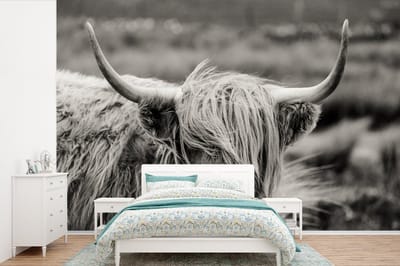 Behang - Fotobehang Schotse hooglander - Koe - Dieren - Zwart wit - Landelijk - Breedte 450 cm x hoogte 300 cm