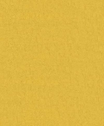 BN Wallcoverings Van Gogh 2 220077