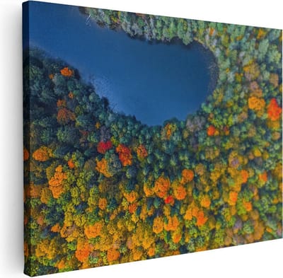 Artaza Canvas Schilderij Bos - 40x30 cm - Klein - Wanddecoratie Herfst - Muurdecoratie Landschap - Kamer Accessoires Natuur