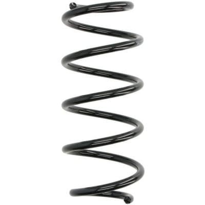 Chassisveer MAGNUM TECHNOLOGY SW198