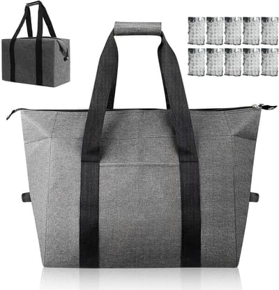 Famanu - Opvouwbare koeltas, 20 liter, houdt je levensmiddelen vers en koel, perfect voor camping en picknick