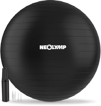 NEOLYMP Ergonomische gymbal Anti-Burst 300 kg zitbal thuiskantoor S