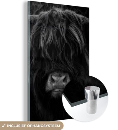 MuchoWow® Glasschilderij 120x180 cm - Schilderij acrylglas - Schotse Hooglander - Koe - Portret - Dieren - Zwart - Wit - Foto op glas - Schilderijen