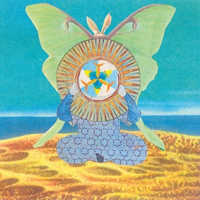 Skygreen Leopards - The Jingling World Of... (LP)