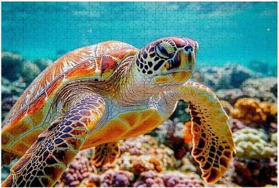 Legpuzzel 6000 stukjes - Houten puzzel Oceaanpuzzel - Ontspannend tijdverdrijf - Precisie gesneden stukjes - 179 x 105 cm - Meerkleurig