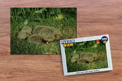 Puzzel Egel met drie baby egels - Legpuzzel - Puzzel 500 stukjes