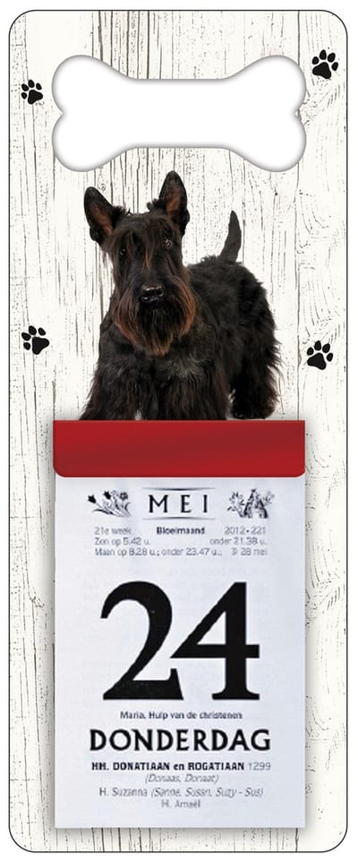 Scheurkalender 2027 Hond: Schotse Terriër