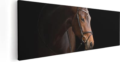 Artaza Canvas Schilderij Dierenkop - 60x20 cm - Wanddecoratie Paard - Muurdecoratie Woonkamer - Kamer Accessoires