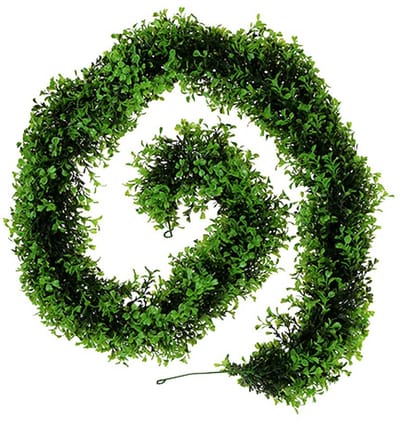 Buxus Slinger Groen L170cm