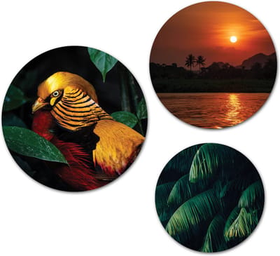 Forex Muurcirkel Set -  Set Tropische Vogel Zonsondergang - Set van 3 Wandcirkels met Ophangsystemen - 20x25x30