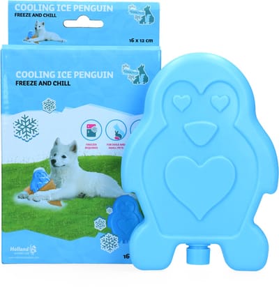 CoolPets Ice Penguin – 20.5 x 12 x 4 cm - Koelmat voor kleine huisdieren – Verkoeling van Omgeving – Ideaal voor knaagdieren – Perfect voor op vakantie - Verkoelend - Blauw