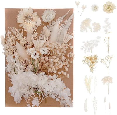 Crrynuo - Gedroogde Bloemen Set - DIY Handgemaakte Accessoires - Natuurlijke Bloemen - Huisdecoratie - 15,5 x 10,5 x 3 cm-wit