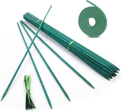 Bamboe Plantensteunen 50 stuks - 45 cm met Metalen Bindbanden