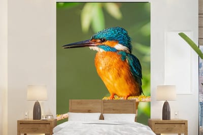 Behang - Fotobehang Vogel - IJsvogel - Tak - Bladeren - Mos - Breedte 225 cm x hoogte 350 cm