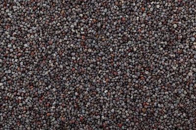 Blauwe maanzaad- Maanzaad blauw- Voer voor vogels- Visvoer- Maanzaad- 2 kilo