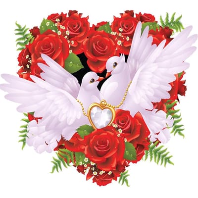 Peinture diamant thème  pigeons blancs , broderie 5D, point de croix, strass, mosaïque, à faire soi-même, décor de mariage 50X50CM