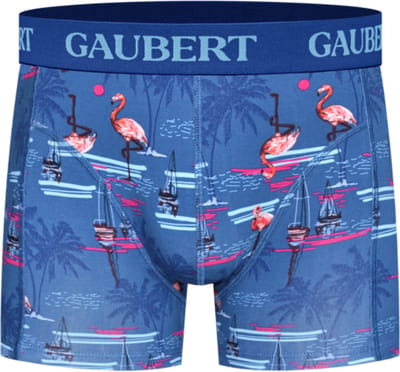 6 stuks GAUBERT® Bamboe Heren Boxershort | Premium comfort, ademend en duurzaam | thema: Flamingo