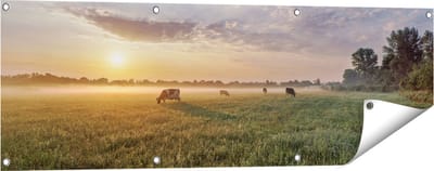 Gards Tuinposter Koeien in de Wei tijdens Zonsopkomst - 120x40 cm - Tuindoek - Tuindecoratie - Wanddecoratie buiten - Tuinschilderij