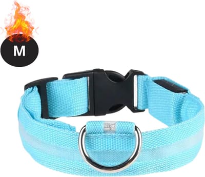 Bovista Lichtgevende Halsband - Verlichte Halsband - Lichtgevend - Hond - Kat - Lampje - Hondenhalsband Led - Blauw - M