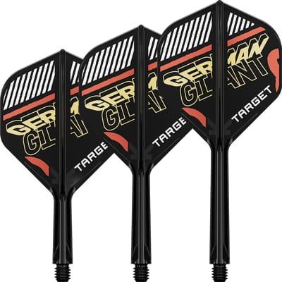 Target K-Flex Gabriel Clemens NO2 - Dart Flights