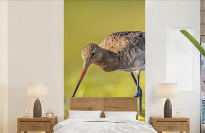 Behang - Fotobehang Vogels - Gras - Landschap - Grutto - Breedte 120 cm x hoogte 240 cm