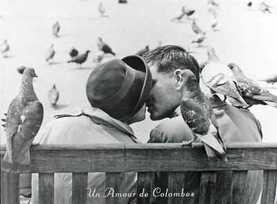 Poster - Un Amour de Colombes - Keystone - Zwart/Wit - Fotografie - Jaren 80