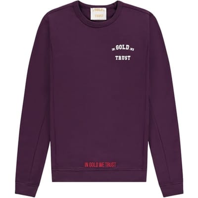 In Gold We Trust The Slim Winter Bloom Size: XS | Sweaters Outlet | Heren | Paars