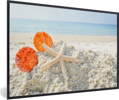Fotolijst incl. Poster - Schelpen - Zeester - Zand - 120x80 cm - Posterlijst