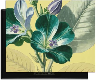 KitchenArt - Botanical Glow – Inductie Beschermer - 76x51.5 cm - Kookplaat Beschermer - Luxe Afdekplaat Inductieplaat - Anti-slip & Oprolbaar - Beschermmat Inductiekookplaat