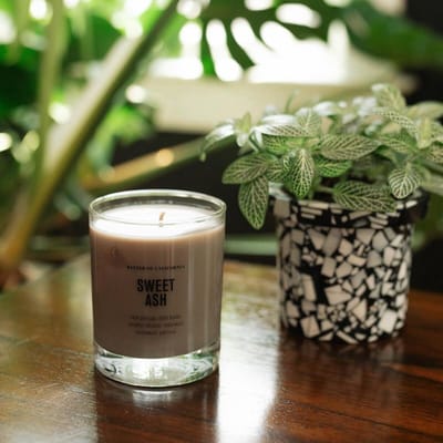 Baxter of California - Sweet Ash Soy Wax Candle - 192 ml