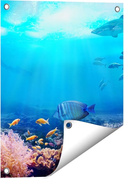 Gards Tuinposter Vissen met Haaien in de Oceaan met Koraalrif - 40x50 cm - Tuindoek - Tuindecoratie - Wanddecoratie buiten - Tuinschilderij