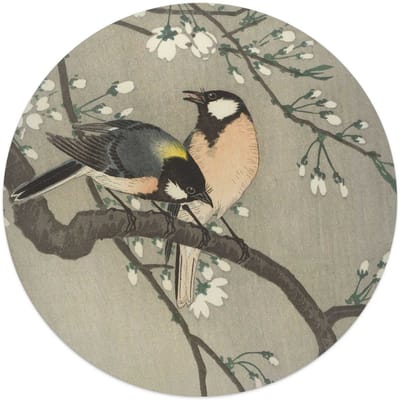 Glasschilderij Ohara Koson - Koolmezen op bloesemtak - Ø 50 - Glas - REINDERS