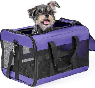 Dailygoods - Conlun Zachte hondentransporttas, grote kattentas met binnenriem, transport voor grote katten en middelgrote honden tot 9 kg, opvouwbare tas voor puppy's, paars, L